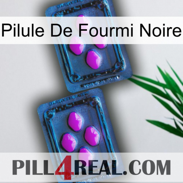 Black Ant Pill 03.jpg